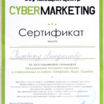 Продвижение интернет-магазина в современных условиях.